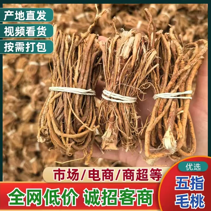 山东菏泽五指毛桃中药材批发供应品种齐全地道药材