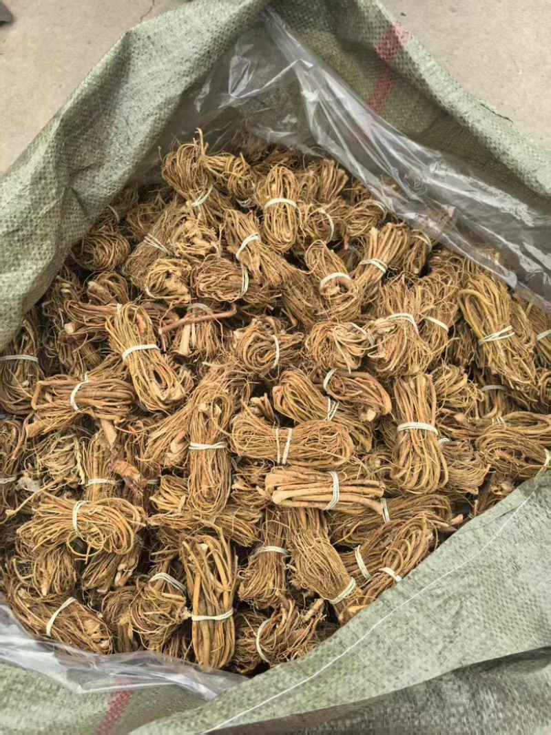 山东菏泽五指毛桃中药材批发供应品种齐全地道药材