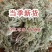 茵陈中药材正品茵陈无硫熏茵陈品质保证自然晾晒