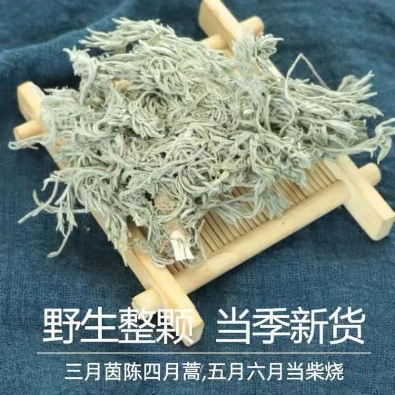 茵陈中药材正品茵陈无硫熏茵陈品质保证自然晾晒