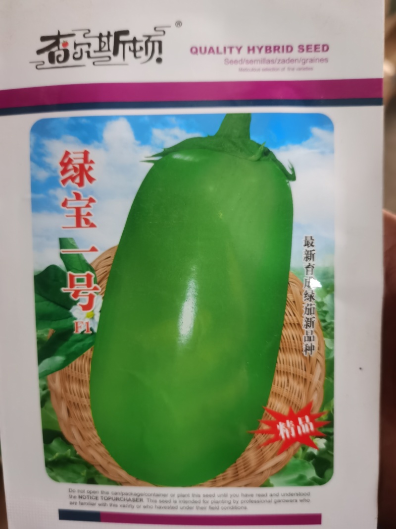 绿宝1号绿杂5号杂交茄子种籽早熟抗病高温不易发白