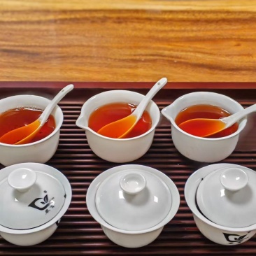 武夷山生态高山云雾茶
