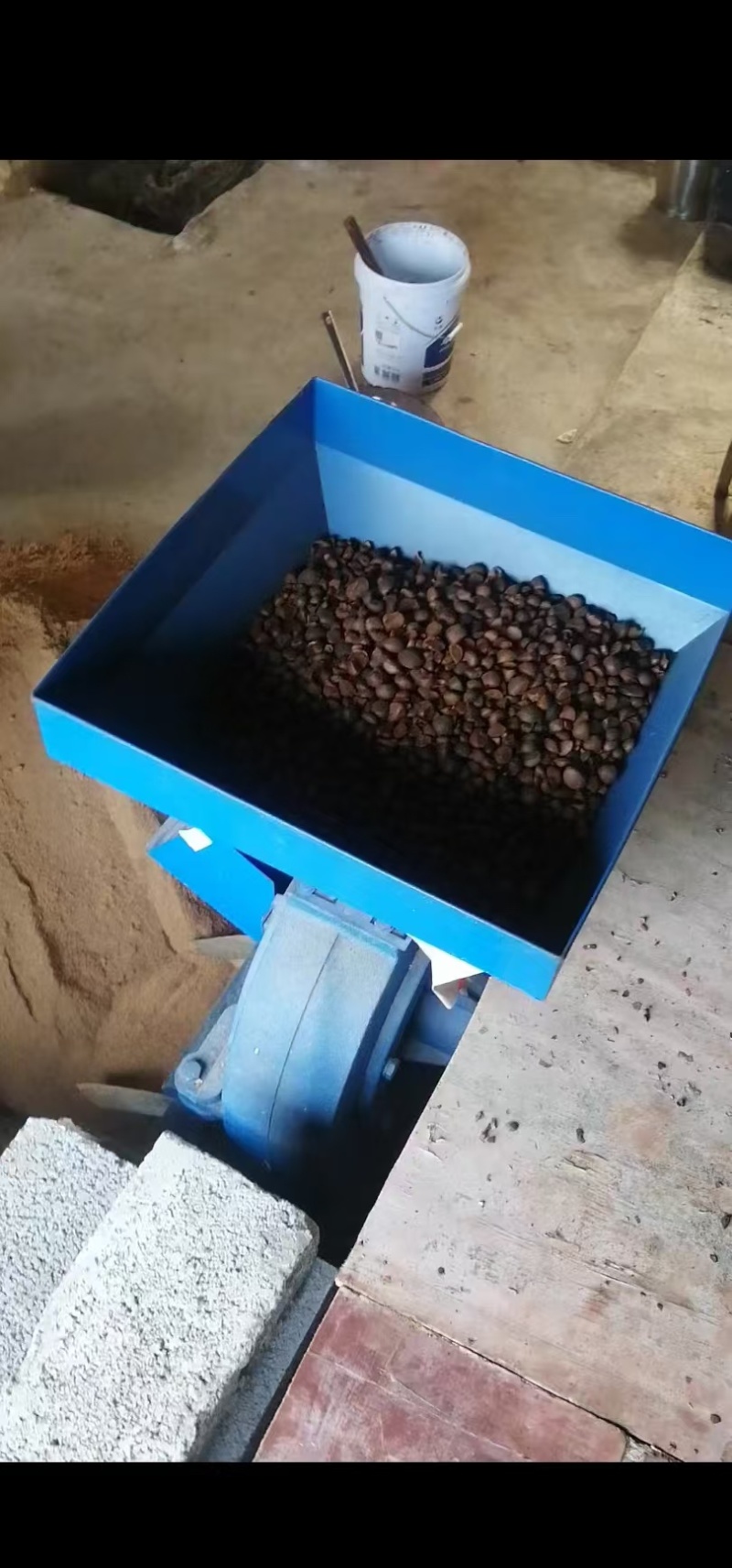 精品山茶油产地一手货源全国发货量大价优欢迎随时联系