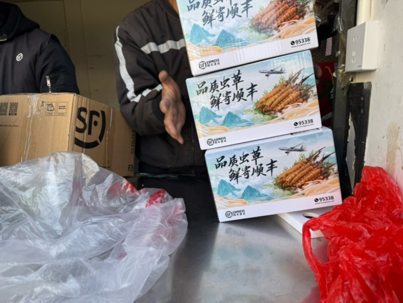 ******虫草原产地精选长期供货中