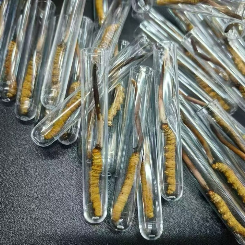 ******虫草原产地精选长期供货中