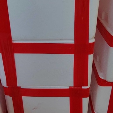 泡沫箱杨梅