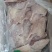 鸭边腿