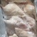 鸭边腿