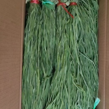 一级，二级贡菜干