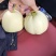 盐东镇美浓甜瓜