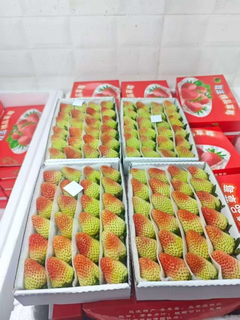 云南四季草莓蒙特瑞草莓基地直供货源充足供商超市场