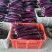 云南茄子