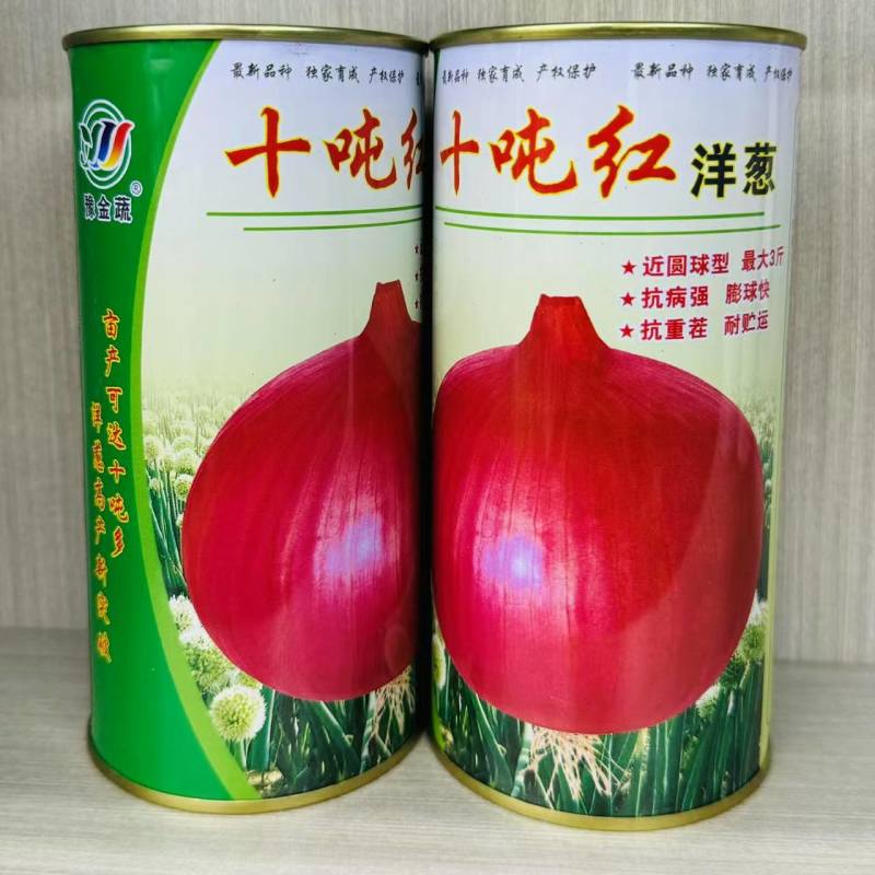 各种蔬菜苗