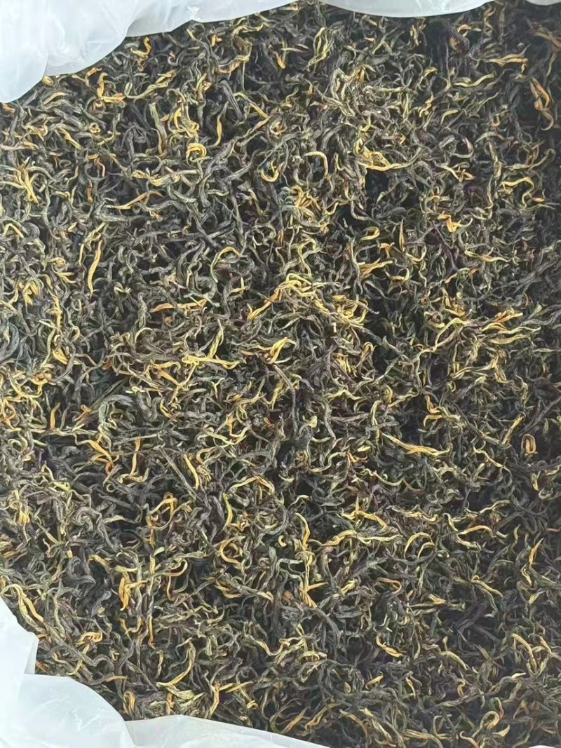 茶红茶英红9号可私定制一手货源量大从优欢迎来电