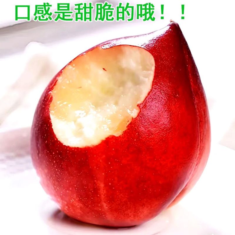 湖北毛桃/湖北桃子大量上市基地供货一手货源/对接超市档口