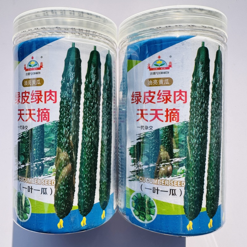 强雌油亮黄瓜种籽蜜刺耐热高产绿皮绿肉瓜型黄瓜种籽顺直大田