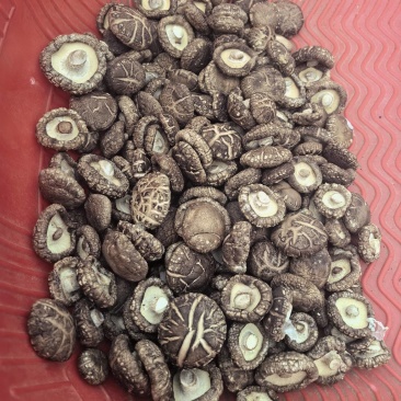 干香菇
