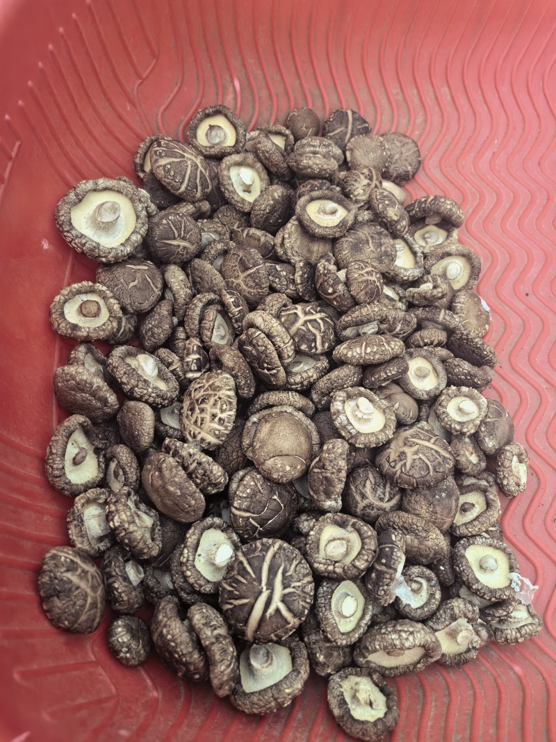 干香菇