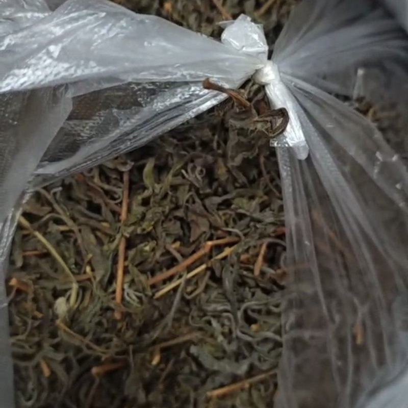 农村老鹰茶