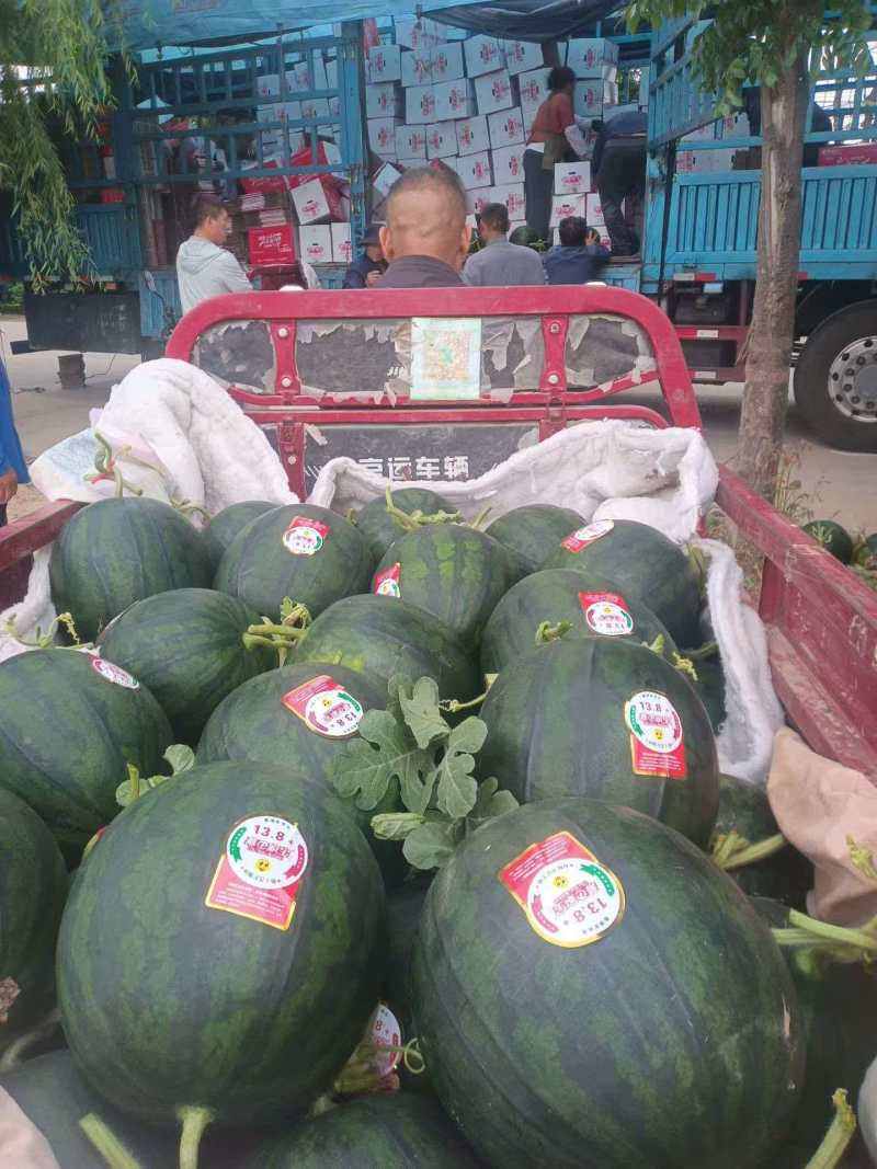 陕西慕田佳宝西瓜清甜可口价格美丽质量好走货快对接全国热卖