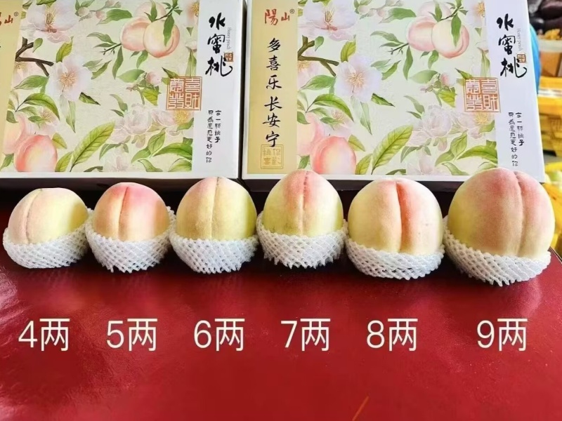 【1箱起售】5两8只慈风无锡阳山水蜜桃水密桃早桃白凤湖景