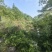 贵州土蜂蜜