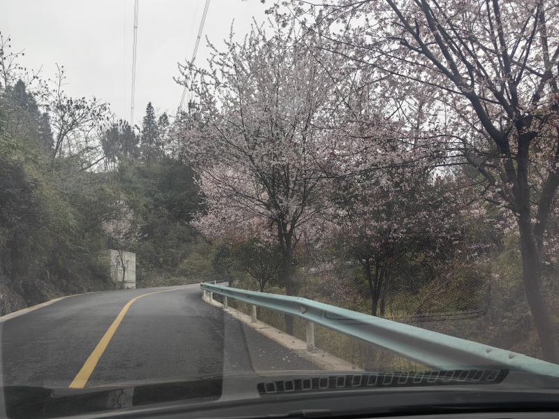 贵州土蜂蜜