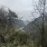 贵州土蜂蜜