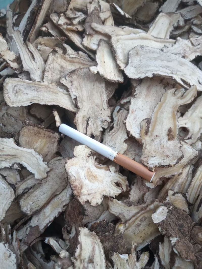 保农残当归系列全归片当归尾片当归头片过质检大货供应可开发
