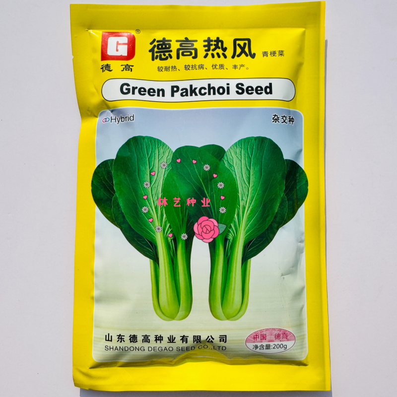德高热风青梗菜种子耐热青梗青叶青菜种籽叶色深绿油亮不拔节
