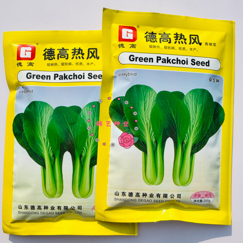 德高热风青梗菜种子耐热青梗青叶青菜种籽叶色深绿油亮不拔节