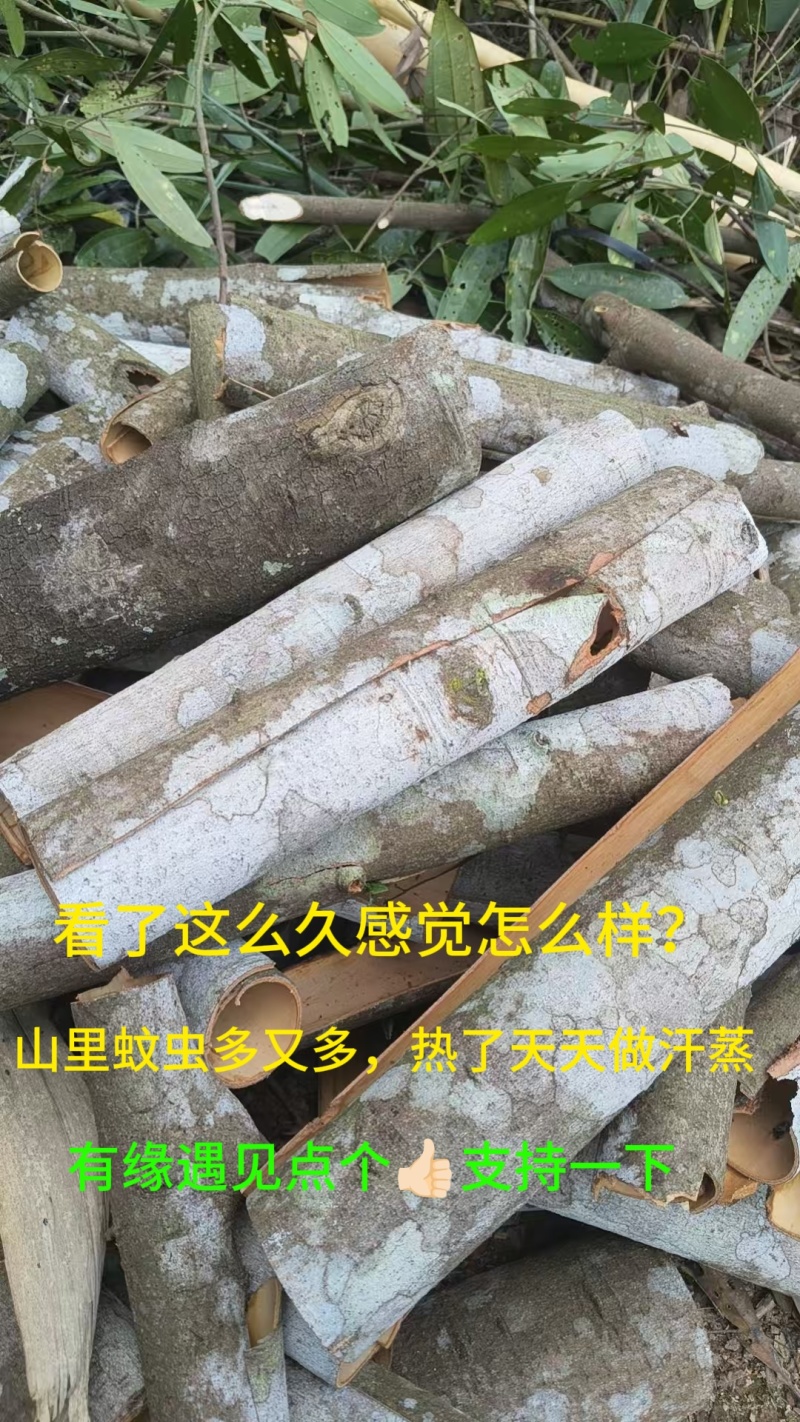 2026年新货厚肉桂皮老树桂皮卤香料可预定