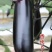 龙盛香烤9350茄子种子烧烤茄种子紫黑油亮棒形茄子种籽