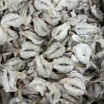 原料蝴蝶虾（汉虾）原料净重10公斤/箱