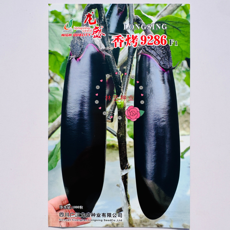 香烤9286烧烤茄种子四川龙盛优质黑紫棒形茄子早熟