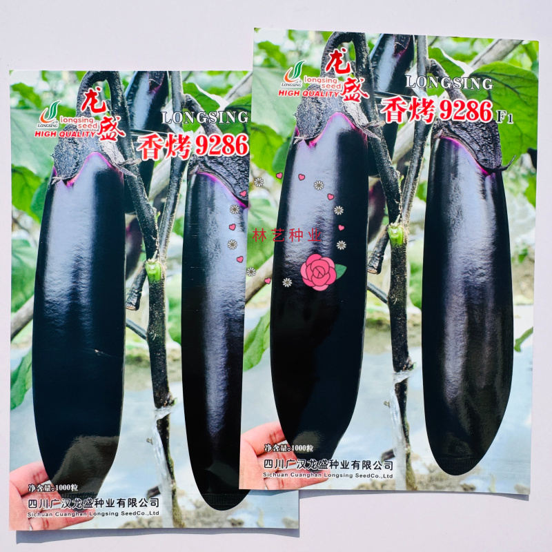 香烤9286烧烤茄种子四川龙盛优质黑紫棒形茄子早熟