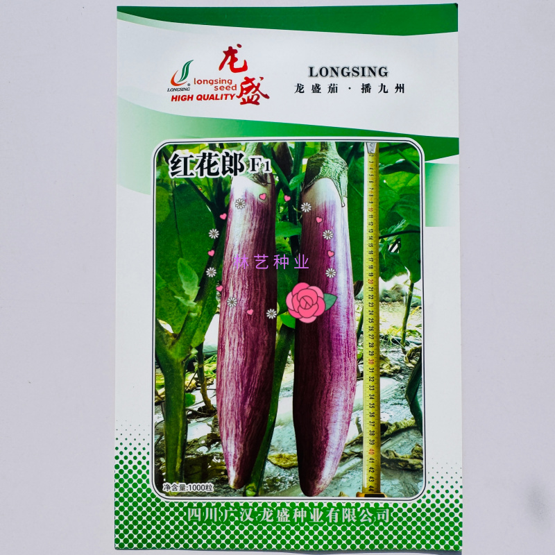 龙盛红花郎茄子种子早熟高产茄子果面浅绿色带紫红色细条纹