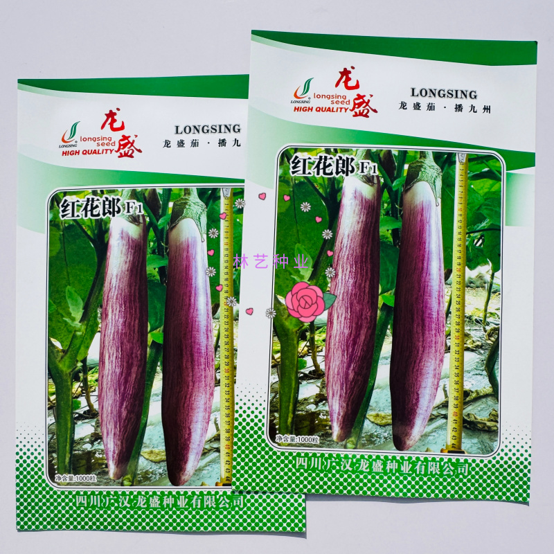 龙盛红花郎茄子种子早熟高产茄子果面浅绿色带紫红色细条纹