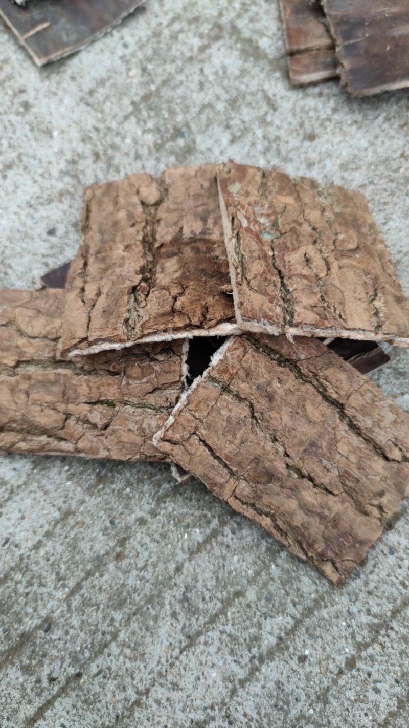 刮皮杜仲选装大片零差评百万销量广州店