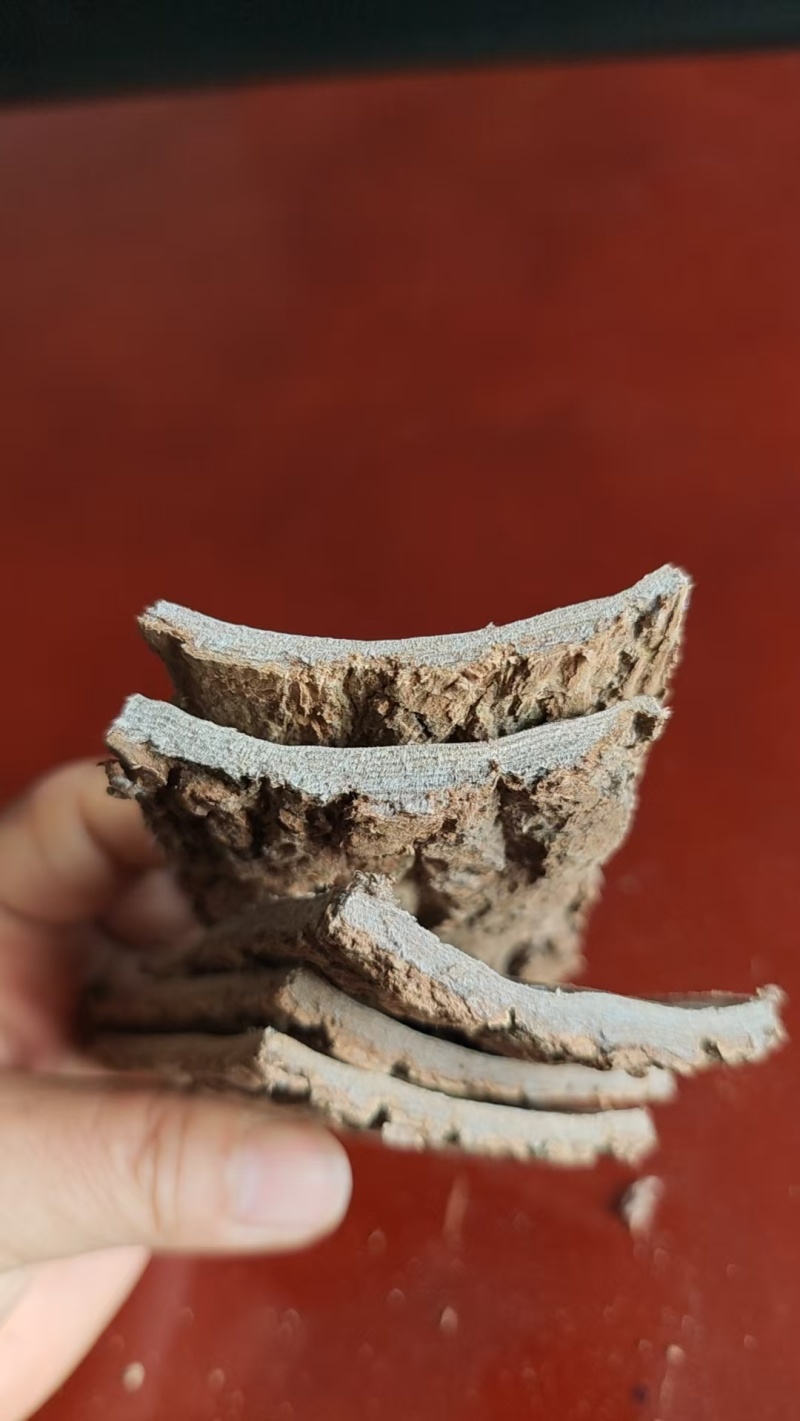 刮皮杜仲选装大片零差评百万销量广州店