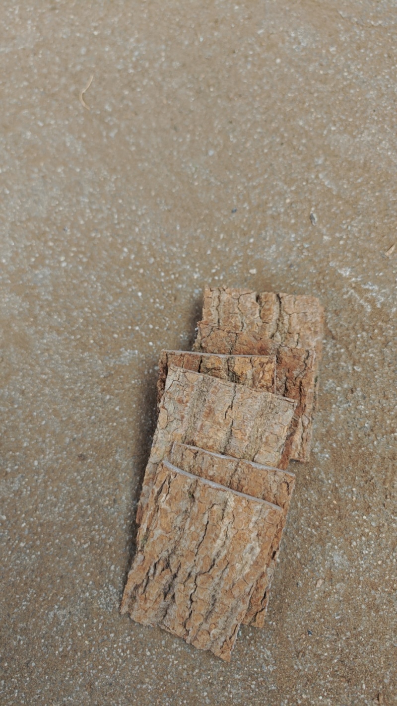 刮皮杜仲选装大片零差评百万销量广州店