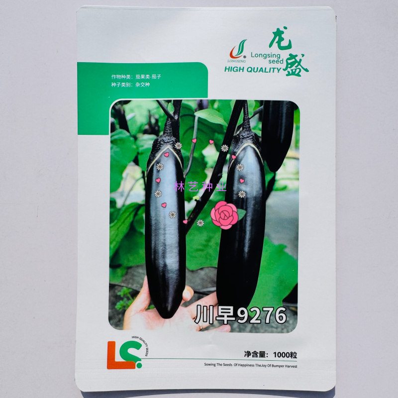 龙盛川早9276早熟杂交一代紫萼长茄种子果面油黑果肉淡绿