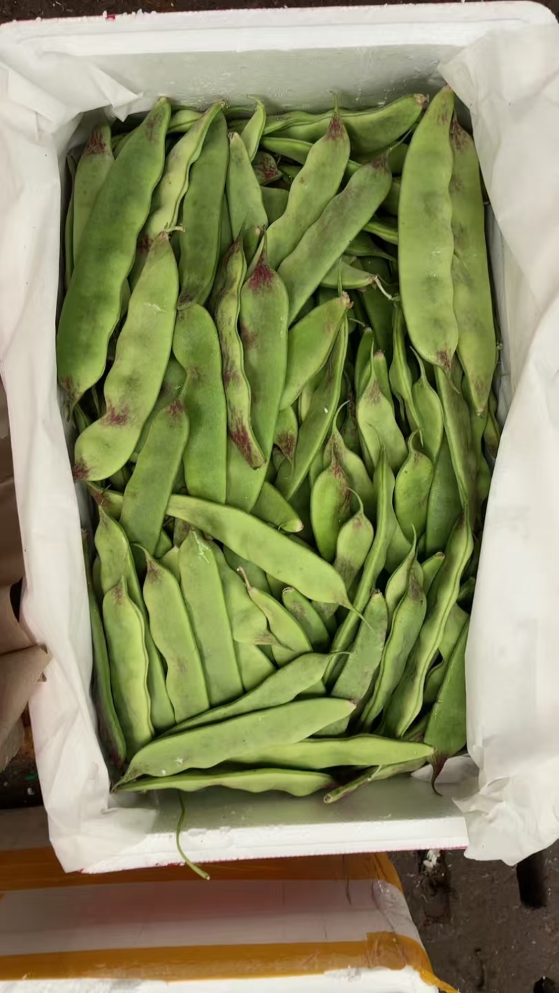 油豆角大量上市，产地直发