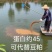 虫㷧复合蛋白下料适合饲料原料或混料用