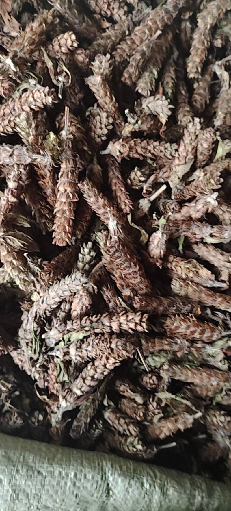 野生夏枯球，自然晒干球茎短，无杂质，品质好