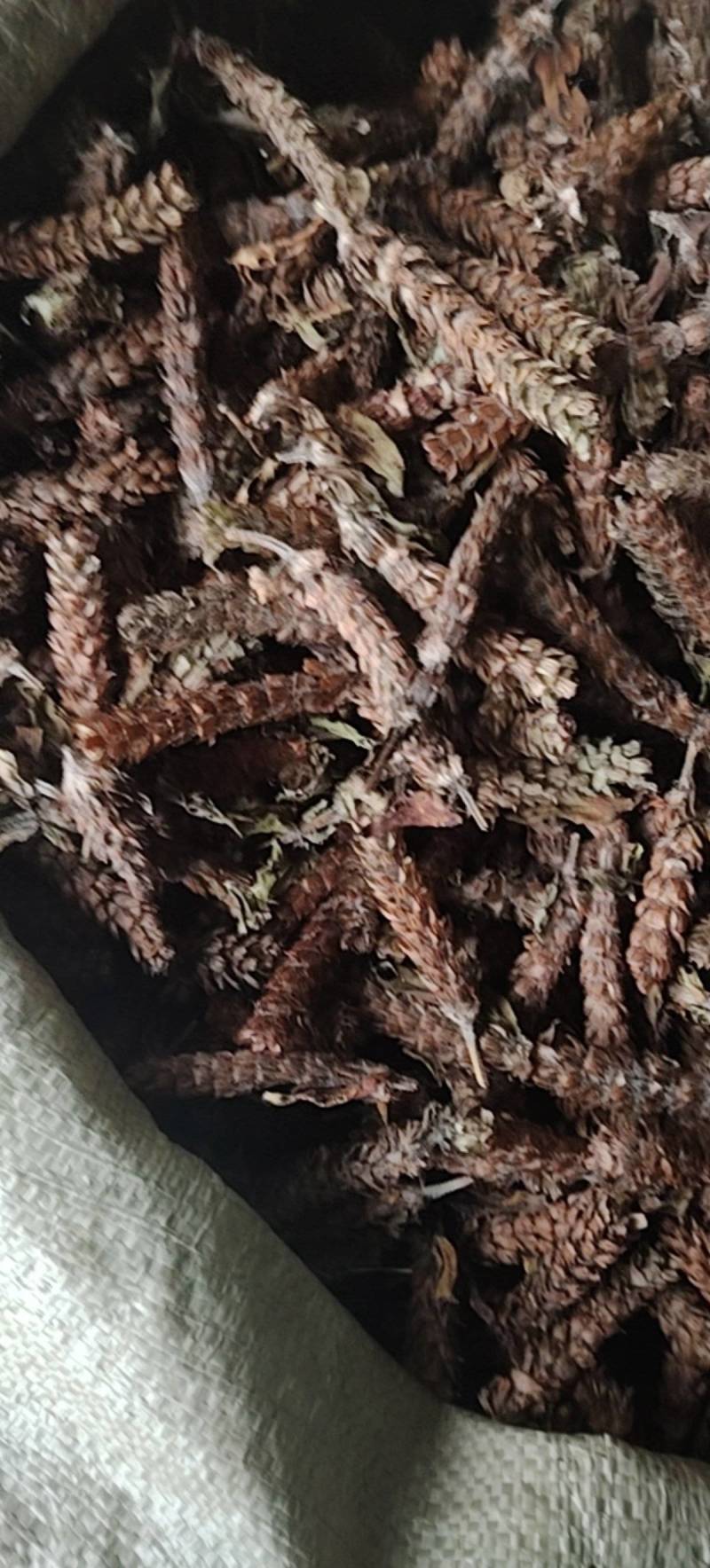 野生夏枯球，自然晒干球茎短，无杂质，品质好