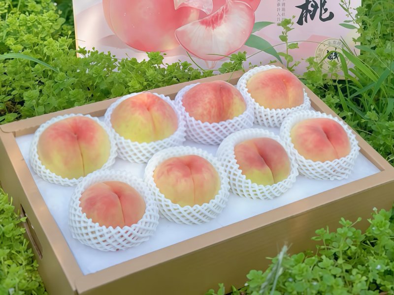 【1箱起售】4两8只慈风无锡阳山水蜜桃水密桃早桃白凤湖景
