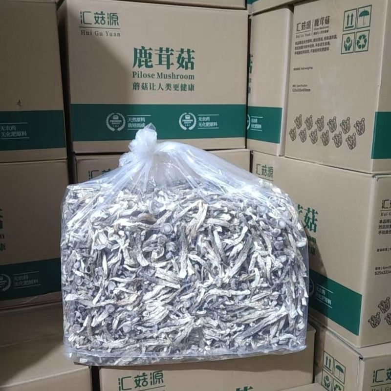 精品鹿茸菇，厂家直销
