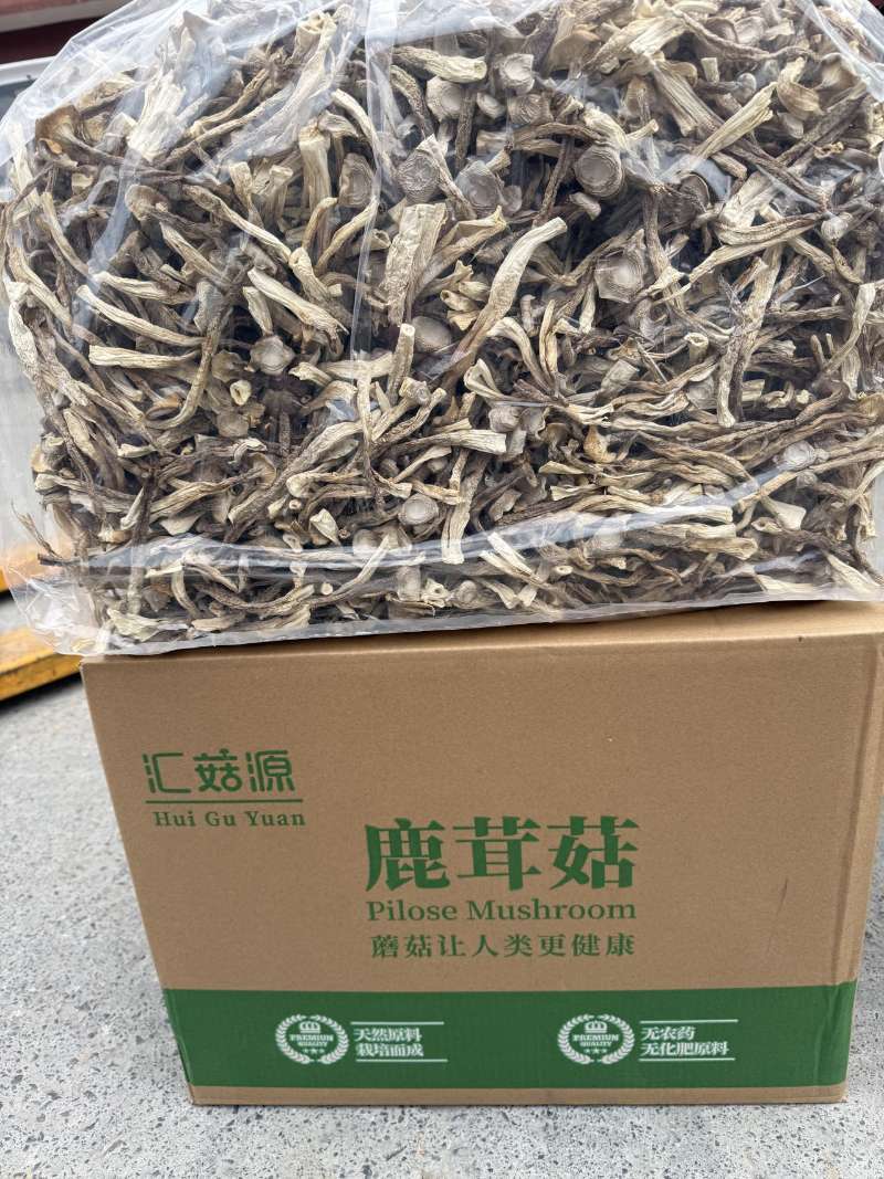 精品鹿茸菇，厂家直销