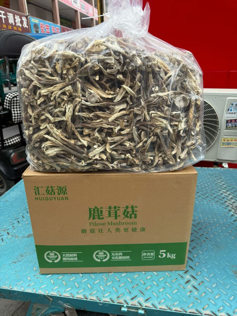 精品鹿茸菇，厂家直销